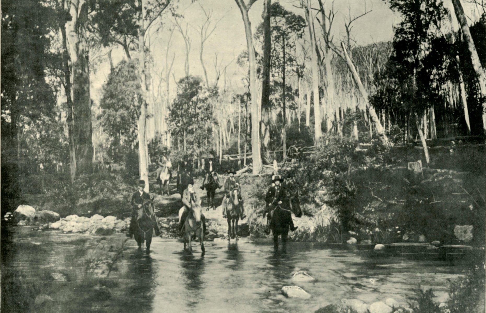 Mount Buffalo National Park, Australia, 1901